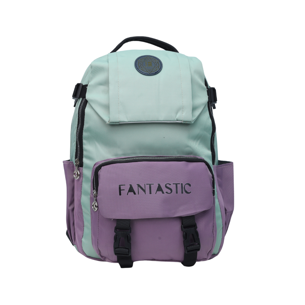 Fantastic CS529