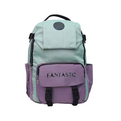 Fantastic CS529