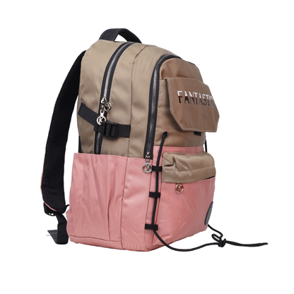 Fantastic Beige & Lavender School Backpack cs528